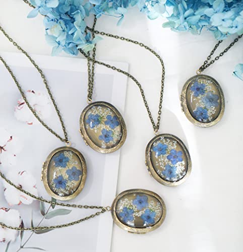 Handmade Oval Shaped Photo Locket with dried Pressed Flowers Locket pendant Necklace - style: Forget Me Not