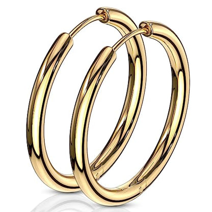 316L Stainless Steel 2.5mm Thick Round Hinged Hoop Earrings, Sold as a Pair - color: Gold Tone, size: 20mm Diameter