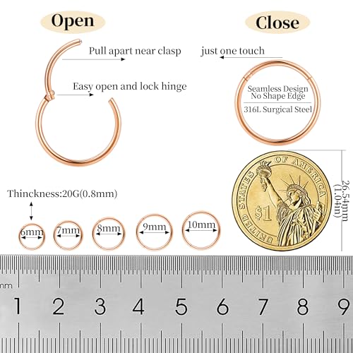 10Pcs 18G 20G Surgical Steel Nose Rings Hoops for Women Men Hinged Seamless Clicker Nose Hoops Cartilage Helix Tragus Daith Sleeper Earrings Hoop Hypoallergenic Nose Piercing 6/7/8/9/10MM - color: rose gold, size: 20G