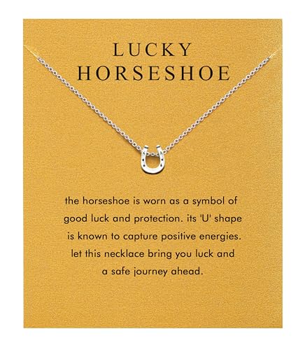 Silver Necklaces for Women Teens, Best Friend Necklace Sister Daughter Gift | Horseshoe Butterfly Swan Wave Evil Eye Necklace Graduation Chritmas Birthday Gifts for Women, Stainless Steel - style: Horseshoe