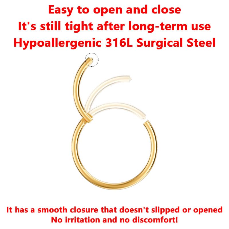 AMASIS Nose Rings and Nose Studs Set, Stainless Steel Hinged Nose Hoops and CZ Studs, Select Sizes and Styles for Nostril Septum Cartilage Piercing Jewelry - color: Gold, size: 2-Piece Hoops,18Gauge,9mm