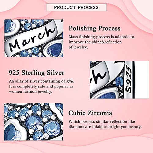 HappyStar 925 Sterling Silver Month Birthstone Charm for Bracelets Necklace，with 5A Cubic Zirconia Dangle Pendant Bead,Happy Birthday Valentine's Day - color: 3-March Birthstones