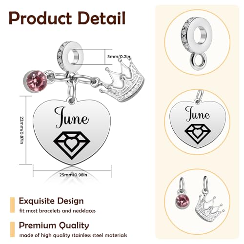 Birthday Gifts for Women Birthstone Charms for Bracelets Necklaces Jewelry Gift for Mom Wife Daughter Granddaughter Niece Sister Girlfriend - color: June