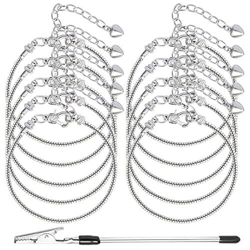 10PCS Snake Chain Charm Bracelet with Bracelet Helper Adjustable Snake Bracelet Chains with Lobster Clasp Extender Chain for Women DIY Jewelry Making Supplies - color: 10Pcs Sliver Bracelet with Bracelet Helper