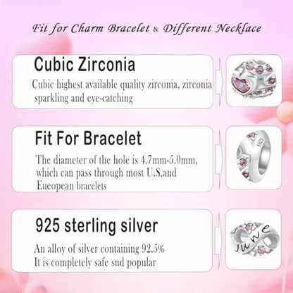 MICOO 925 Sterling Silver Jan-Dec Birthstone Charms For Bracelets and Necklaces, Original DIY Bead Charms With Cubic Zirconias Jewelry Birthday Gifts For Women. - color: 6-June Birthstone charm