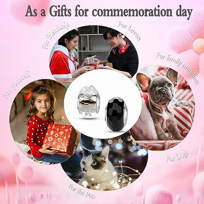 MICOO 925 Sterling Silver Charms for Bracelets,Fashion DIY Dangle Pendants Beads Simulated Birthstone Charms,Birthday Gifts for Women - color: 2 Dark and White Charms
