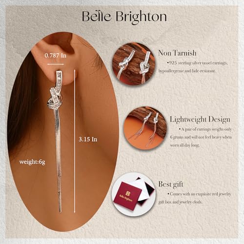 Dangle Earrings for Women, Sparkly Rhinestone Long Tassel Chain Earrings | 18K Gold or 18K White Gold Plated, 925 Sterling Silver Posts, Cubic Zirconia, Hypoallergenic, Tarnish Resistant, Lightweight - color: Silver
