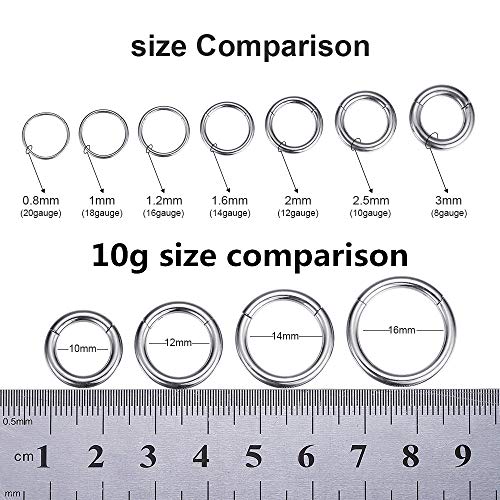 ORANGELOVE Hypoallergenic Nose Rings 20G 18G 16G 14G 12G 10G 8G 316l Surgical Steel Septum Jewelry Hinged Segment Ring Body Piercing Nose Hoop Lip Rings Nose Helix Cartilage Rook Earrings - color: Silver, size: 1pc 10 Gauge 16mm