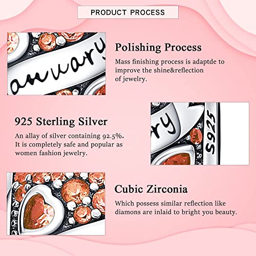 HappyStar 925 Sterling Silver Month Birthstone Charm for Bracelets Necklace，with 5A Cubic Zirconia Dangle Pendant Bead,Happy Birthday Valentine's Day - color: 1-January Birthstones