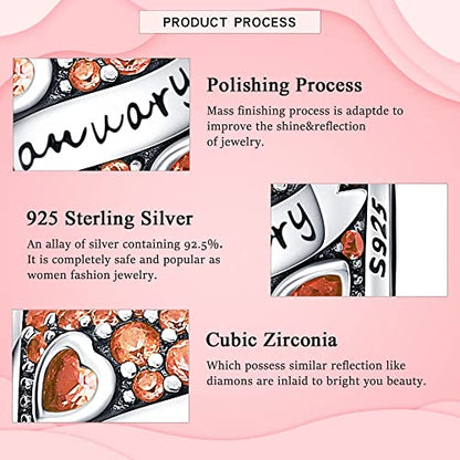 HappyStar 925 Sterling Silver Month Birthstone Charm for Bracelets Necklace，with 5A Cubic Zirconia Dangle Pendant Bead,Happy Birthday Valentine's Day - color: 1-January Birthstones