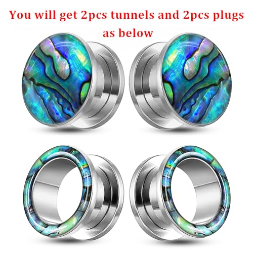 2 Pairs Abalone Pearl Shell Stainless Steel Ear Gauges Plugs and Tunnels, Size 2g - 1 inch Hypoallergenic Surgical Steel Ear Stretcher Expander Body Jewelry - color: BO1651 Silver, size: 6 mm (2g)