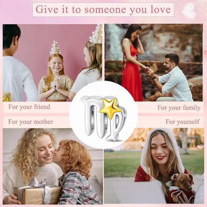925 Sterling Silver 12 Astrological Signs Charm for Bracelets and Necklace Happy Birthday Charms for Bracelet and Necklace Valentine's Day Mother's Day Gift - style: Virgo Charm