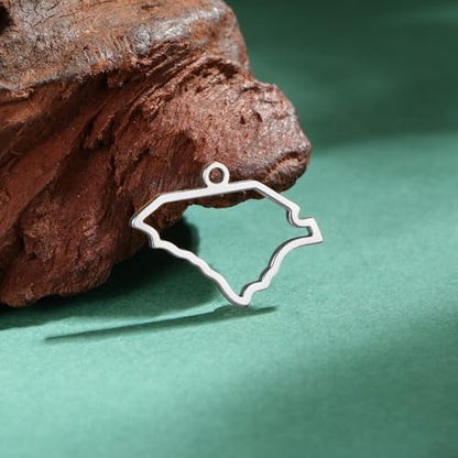kkjoy 5Pcs Hollow Continents Maps of USA Pendant Charms for Jewelry Making and Crafting, Stainless Steel Mini Charm Craft Supplies Accessories for DIY Bracelet Necklace Earrings - color: Hollow South Carolina Map - Silver
