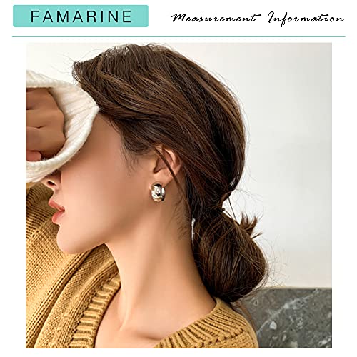 FAMARINE Chunky Thick Hoop Earrings for Women Gold Hoops Huggie Earrings for Men Gift - color: 0.8" Hoop Silver