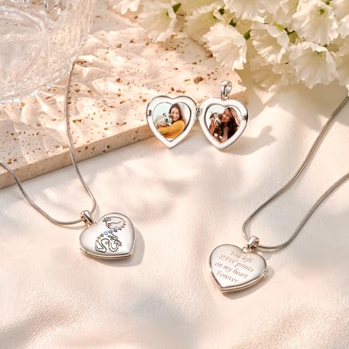 Fanery Sue Personalized Pet Locket Picture Necklace,Dog Cat Memory Gift | Custom Engraved Heart Photo Lockets Necklaces,Dog Cat Sympathy Memorial Jewelry for Women Men - color: Sliver, style: Cat & Dog