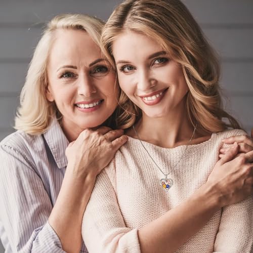 Iefil Birthstone Necklace for Women - Rose Heart Necklace | 925 Sterling Silver, Gift Box Packaging, Anniversary Birthday Gifts for Wife Mom Daughter - color: 04-11-Apr-Nov Birthstone