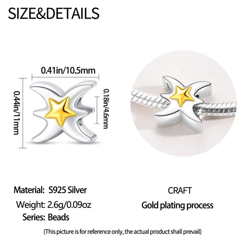 925 Sterling Silver 12 Astrological Signs Charm for Bracelets and Necklace Happy Birthday Charms for Bracelet and Necklace Valentine's Day Mother's Day Gift - style: Pisces Charm