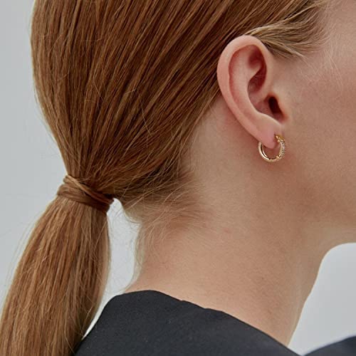 LOYATA Gold Huggie Hoop Earrings 14K Gold Plated Dainty Small Simple Hypoallergenic Jewelry Gift for Women - style: ED310