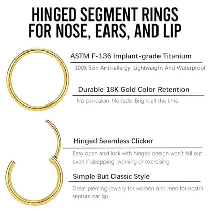 2Pcs Titanium Nose Rings 20G 18G 16G 14G Nose Rings Hoops Diameter 5mm to 12mm Silver-Gold-Rose Gold-Black Cartilage Helix Tragus Daith Rook Hoop Earrings Hinged Segment Septum Clicker Body Piercing Jewelry - color: Gold