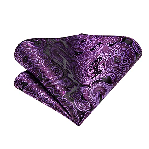 Hi-Tie Men 63inches Tie Set Extra Long Necktie Paisley Tie Pocket Suqare Cufflinks Big and Tall Men Tie - color: Black Purple