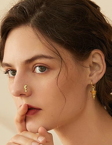 Akeoqi 18Pcs Nose Rings Hoops L Shape Nose Studs Screw Bone CZ Butterfly Flower Cross Leaf Star Crown Heart Nose Nostril Piercings Jewelry Set For Women Men Gold Silver Tone 20G - color: A1:Gold-18PCS