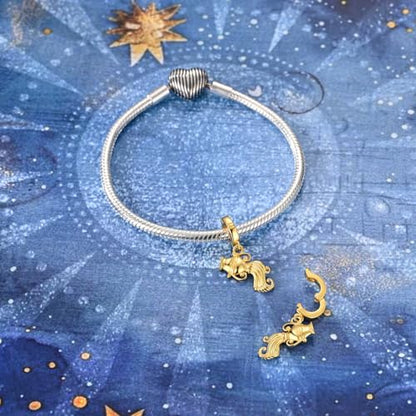 LAZA 925 Silver Charms for Bracelets and Necklaces Gold charms for Women | Summer Travel Party Lucky Zodiac Charms Clearance Pendant Beads Christmas Birthday Graduation Gift Jewelry for Women - color: Aquarius