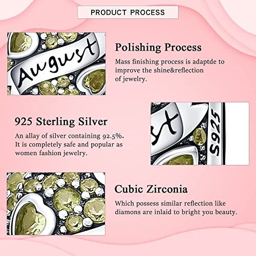 HappyStar 925 Sterling Silver Month Birthstone Charm for Bracelets Necklace，with 5A Cubic Zirconia Dangle Pendant Bead,Happy Birthday Valentine's Day - color: 8-August Birthstones