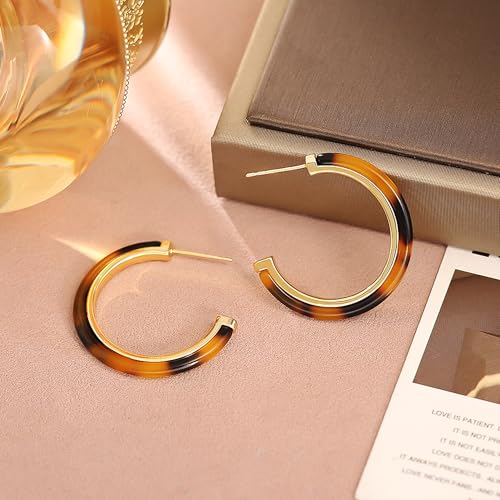 14K Gold Plated Chunky Hoop Earrings for Women Vintage Leopard Print Hoops Large Round Hoop Earrings Jewelry - style: Hoop E
