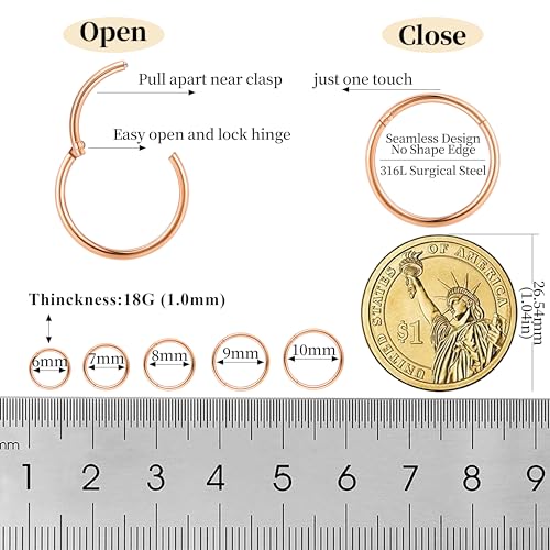 10Pcs 18G 20G Surgical Steel Nose Rings Hoops for Women Men Hinged Seamless Clicker Nose Hoops Cartilage Helix Tragus Daith Sleeper Earrings Hoop Hypoallergenic Nose Piercing 6/7/8/9/10MM - color: rose gold, size: 18G