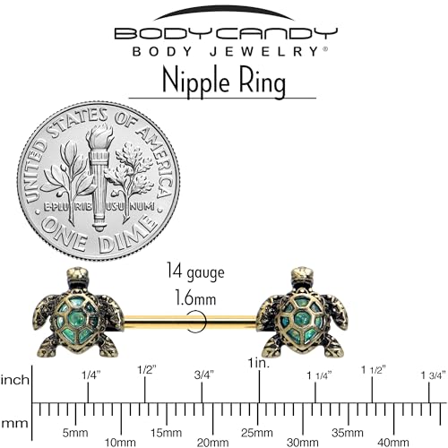 Body Candy 14G 5/8 Nipple Ring Set - 316L Stainless Steel 2Pc Nipplerings Piercing Sea Turtle Style Nipple Barbells