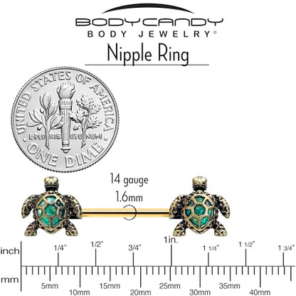 Body Candy 14G 5/8 Nipple Ring Set - 316L Stainless Steel 2Pc Nipplerings Piercing Sea Turtle Style Nipple Barbells