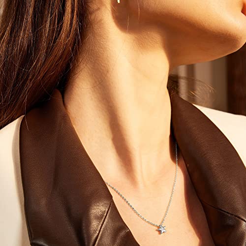 Valloey Rover Gold Necklaces for Women | Dainty 14K Gold/Sterling Silver Plated Cubic Zirconia Star Moon Pendant Necklaces Twist Rope Chain Simple Jewelry for Women - style: Silver-Star