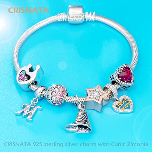 26 Letter Pendant Charms, Polished 925 Sterling Silver Complete Initial A-Z Dangling CZ Stone Alphabet Beads, fits European Bracelet Necklace, Gift for Mother/Father/Daughter/Son/Sister/Aunt - color: Letter M CZ Pendant Charm