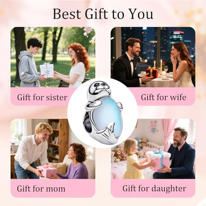 925 Sterling Silver Bead Charm for Pandora Bracelets and Necklaces,Pink Bow Cherry Butterfly Blue Ocean Pendant Bead Charms Jewelry Present Valentines Gifts for Wife/Girlfriend Women - style: Cute seal Charm