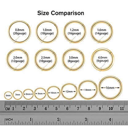 FUNLMO 316L Surgical Steel Hinged Segment Nose Ring Hoop for Nose Septum Cartilage Helix Tragus Conch Rook Daith Lobe Lip Piercings 1 Pc - color: Gold