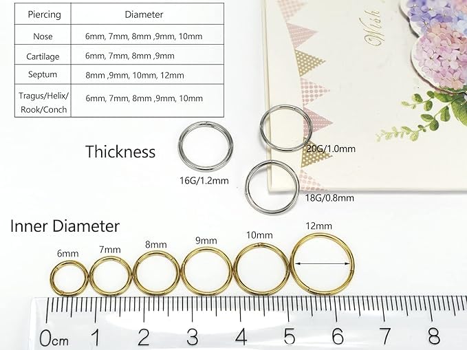 16G 18G 6mm 8mm 10mm Hinged Clicker Segment CZ Twisted Clicker Nose Rings Hoop Helix Cartilage Daith Tragus Sleeper Earrings Body Piercing for Women Men - style: 18G - 8mm - 3Pcs Steel - 2 Layer)