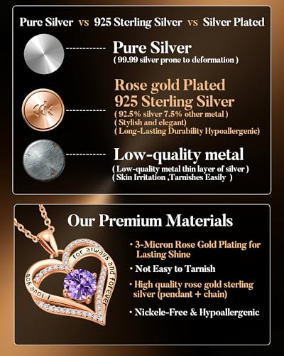 CDE S925 Silver Engraved Forever Love Heart Birthstone Necklaces for Women | 5A CZ,Hypoallergenic,Nickel-Free & Lead-Free Pendant,Anniversary Christmas Wedding Birthday Gift for Wife Girlfriend - color: 02-Feb, style: Rose Gold Plated