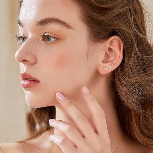 Heart Climber Earrings for Women 925 Sterling Silver White/Yellow/Rose Gold Plated Cubic Zirconia Ear Crawler Earrings Jewelry - color: Rose