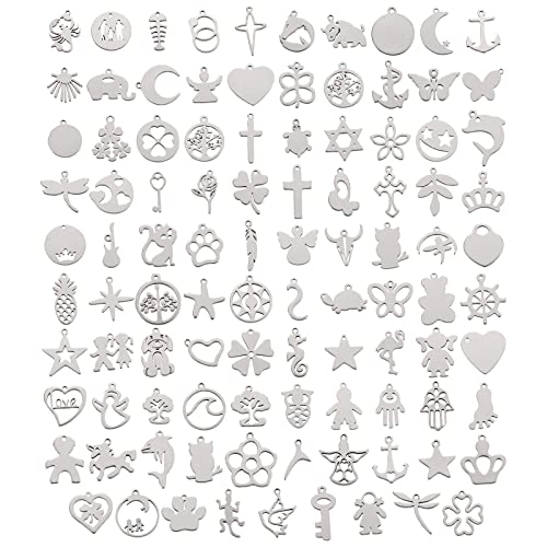 Ornaland Stainless Steel Charms for Jewelry Making Bulk | Assorted Mixed Shapes Style Charms for DIY Bracelet Earring Necklace Making, Craft - color: Stainless Steel