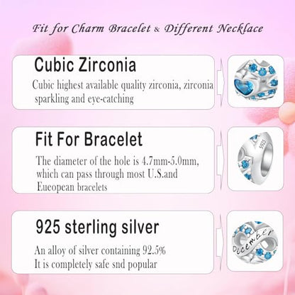 MICOO 925 Sterling Silver Jan-Dec Birthstone Charms For Bracelets and Necklaces, Original DIY Bead Charms With Cubic Zirconias Jewelry Birthday Gifts For Women. - color: 93-12Dec Birthstone charm