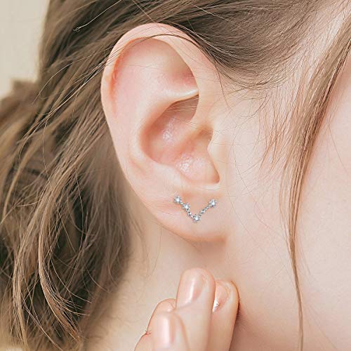 925 Sterling Silver CZ Horoscope Zodiac 12 Constellation Astrology Ear Crawler Post Earrings Gift for Mom Women Mothers Day/Valentines Day/Birthday/Christmas/Anniversary - style: Pisces (Feb 19 - Mar 20)