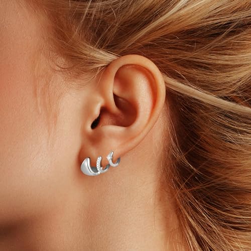 Wgoud Small Gold Hoop Earrings Set for Women, 6 Pairs 14K Gold Plated Hypoallergenic Lightweight Huggie Hoops Earrings, Trendy Cartilage Cubic Zirconia Earrings for Women Gifts. - color: F-Silver hoops