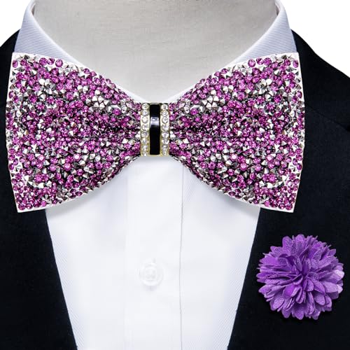 DiBanGu Mens Rhinestone Bow Tie with Ring and Lapel Pin Set | Adjustable Strap,Pre-tied Style,3PCS,Sequin Diamond Bowties，Solid/Mix Color,Shiny Accessory,for Party Prom Banquet Wedding - color: Purple and Silver