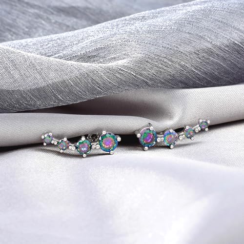 Silver Stud Earrings for Women Trendy - Sterling Silver Ear Climber Earrings Hypoallergenic Post Earrings for Sensitive Ears Colorful Cubic Zirconia Earrings Fashion Women's Earrings Gift for Birthday