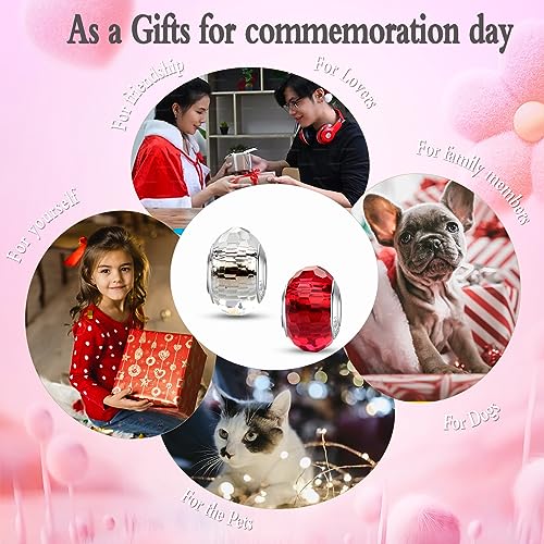 MICOO 925 Sterling Silver Charms for Bracelets,Fashion DIY Dangle Pendants Beads Simulated Birthstone Charms,Birthday Gifts for Women - color: 2 Red and White Charms