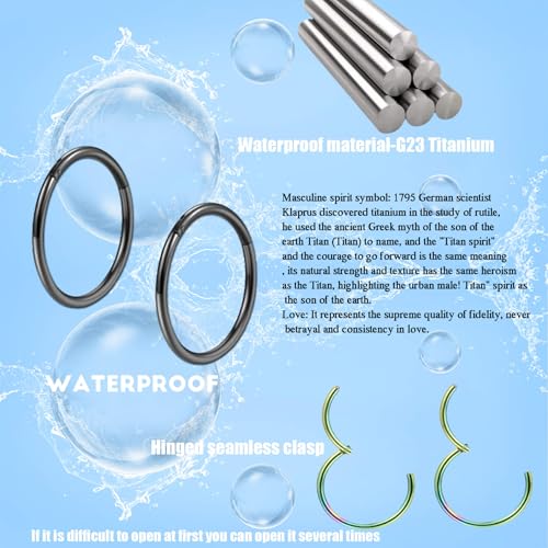 Lantine 16g 18g 20g Nose Rings Hoops Grade 23 Titanium Black Hinged Septum Rings Seamless Clicker Sleeper Cartilage Daith Tragus Helix Piercing Hoop Earrings - color: Black