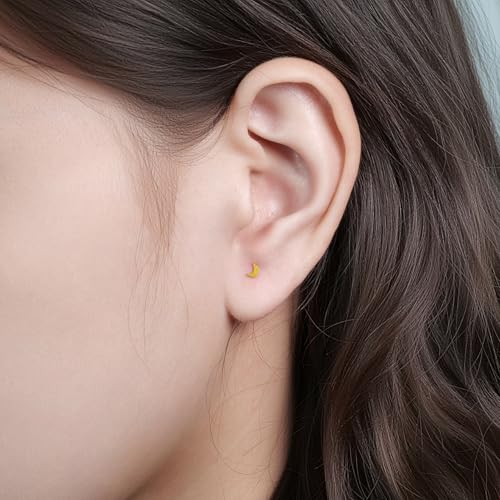 limerencia Titanium Threadless Flat Back Earrings Stud Piercing Jewelry | 20G Press Fit Titanium Push Pop in Cartilage Tragus Labret Lip Medusa Conch Piercing Jewelry Hypoallergenic for Women Men - style: Moon Gold