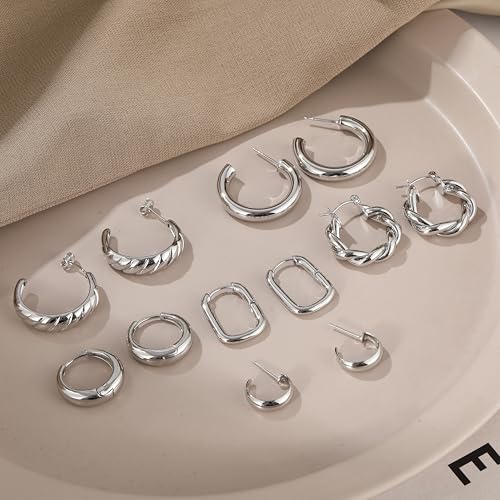 Gold Hoop Earrings Set for Women, 6 Pairs 14K Gold Plated Lightweight Hypoallergenic Chunky Open Twisted Hoops Earrings Pack Jewelry - color: Silver Classic