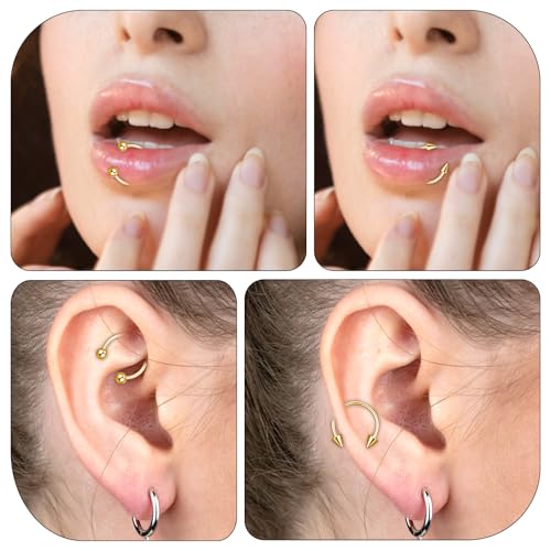 Yolev 6pcs Horseshoe Nose Ring 16g Surgical Steel Septum Piercing Jewellery Horseshoe Hoop Earring Lip Rings Ear Helix Cartilage Daith Conch Horse Shoe Nose Ring For Women Men 8/10/12mm Gold