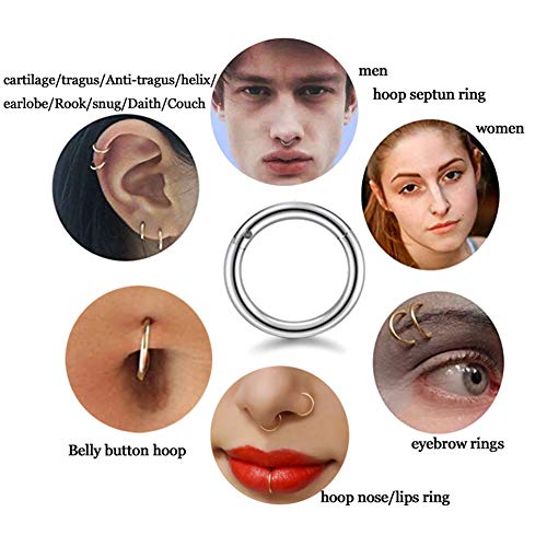 HQLA 16G Surgical Steel Hinged Clicker Segment Nose Rings Hoop Helix Cartilage Daith Tragus Sleeper Earrings Body Piercing for women 6mm 8mm 10mm 12mm 14mm - style: 16G - Gold - (6mm-14mm) - 10Pcs